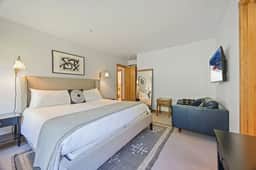 Spruce View: Big & Bright Downtown Telluride!
