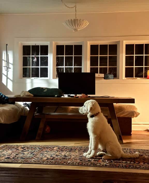 The Hideout: A Sunnyside Home