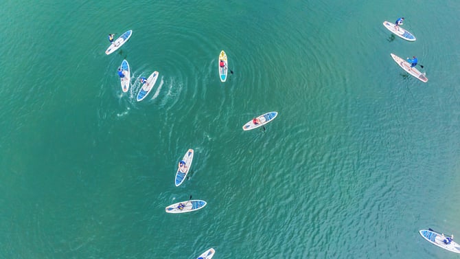 Picnic & Paddle: Woods Lake